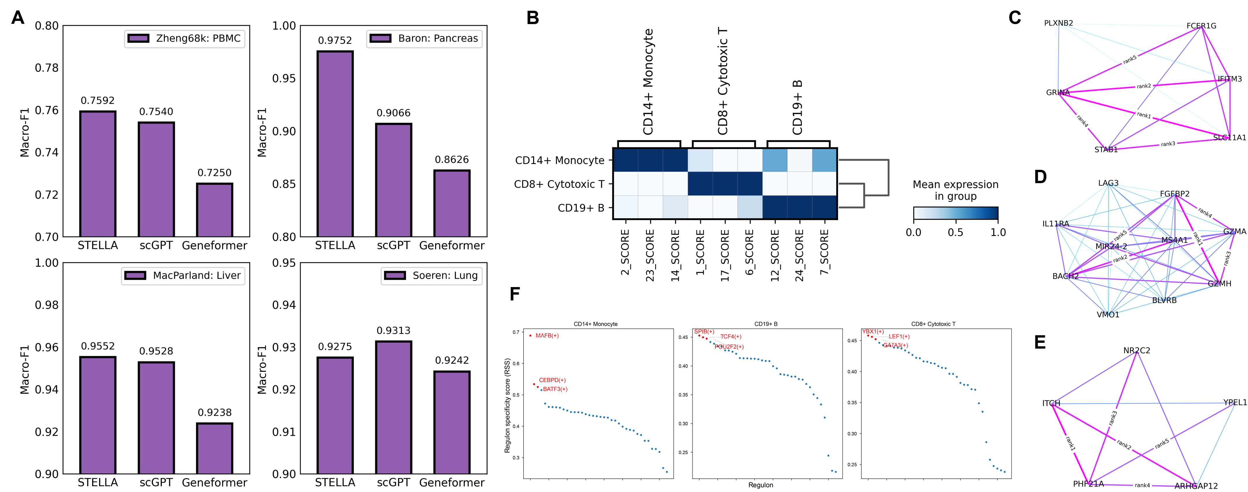 celltype annotation